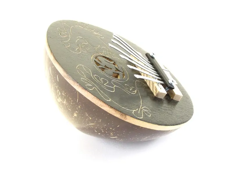 Karimba z kokosu s ještěrkama